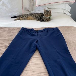 Banana Republic Sloan pant